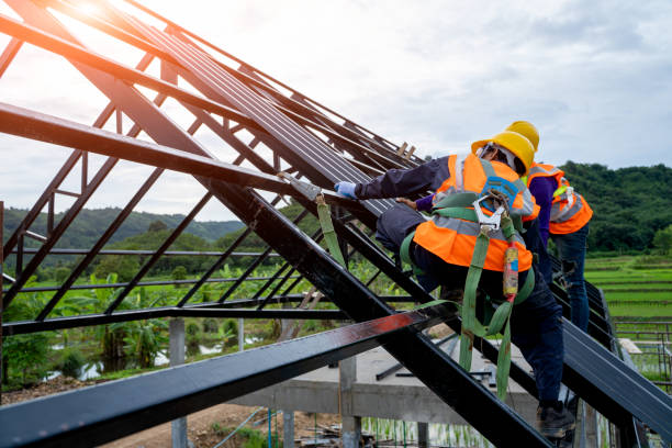 Roof Gutter Cleaning in Whitestown, IN